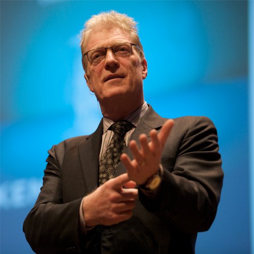 Sir Ken Robinson: Creatividad